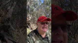 Shelley Camp Reflections on a Sambar hunt