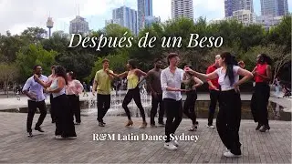 R&M Student Project 2025, Salsa team - Despeus de un Beso
