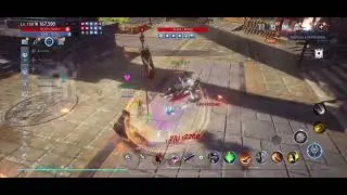 Mir4 Warrior VS Taoist