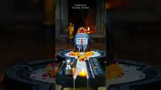 shivling abhishek in tamil god#shorts#god siva#siva dharisanam#siva lingam#shortsfeed