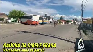 GAÚCHA DA CIBELE FRAGA verdadeira mula de patrão 