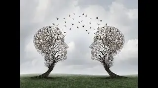 Dogmatic - Meaning Pronunciation Examples and Synonyms
