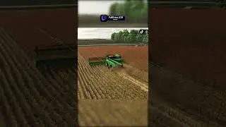 🚜Mid-morning sorghum harvest 🌾 grinding before the day heats up☀️