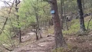 Read Mountain Preserve, Roanoke, VA
