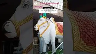 📸Shoot by drone camera ‼️💥 🙏💥seervi samaj mandir dhinawas 🙏❤️ #5000views#seervi#aai_mataji#dhinawas#