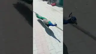 mor ki udan
