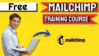 17   Creative Assistant - Free Mailchimp Training Course