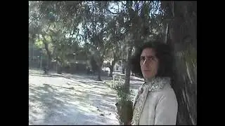 La danza de los Girasoles -  Ale Marasso y Tomi Mutio - Girasol