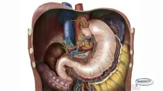 Tanya interview Dr. Iqbal_OCM Medical Director Digestive Care Center-GERD Part 1 of 2