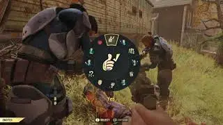 Fallout 76 BR