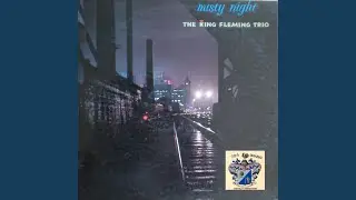 Misty Night