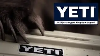 YETI Coolers - Grizzly Bear Video