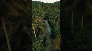The Timeless Beauty of South India 🌸🏝️🤍 #shorts #southindia #ytshorts #nature