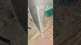 Raving Fan Review! Window Cleaning in Mountain Home, Arkansas
