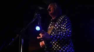 Robyn Hitchcock 