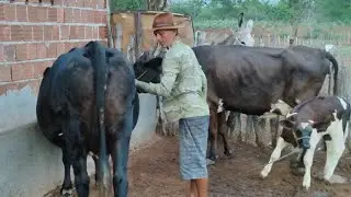 AMANHECENDO O DIA NO SÍTIO DO REPORTER DOS MACACOS.