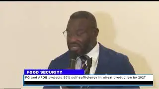 FG, and AfDB projects 50% self-sufficiency in wheat production by 2027