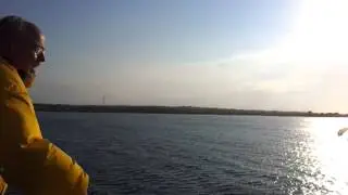 feeding the bird