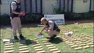 Reyes Narcos