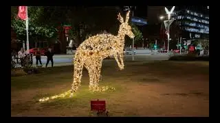 Perth Christmas Lights