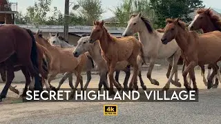 Hidden Highland Village in the Clouds | Village Life, Local Food & Scenic Views | Masal, Iran 4K