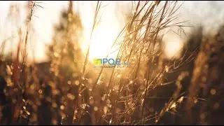 Bienvenido a PQE Group