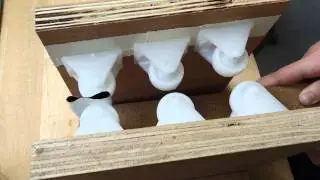 DSCN5461