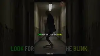 Дело: Ложный человек