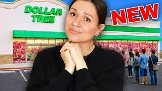 I Bought Cute New Dollar Tree Product Must Haves You Need to Know About