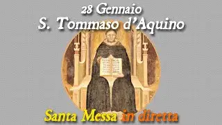 28 Gennaio 2026 -- S. Tommaso d'Aquino, Dottore della Chiesa -- Santa Messa in diretta
