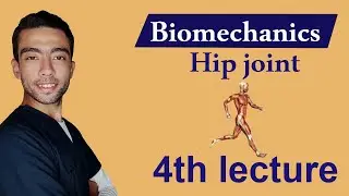 شرح ال hip joint biomechanics (part 2)