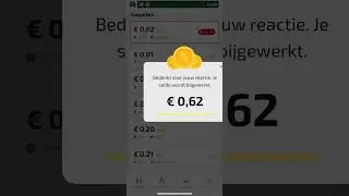 Geld verdienen met enqu&ecirc;tes #1