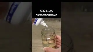 Agua oxigenada para Acelerar la Germinaci&oacute;n