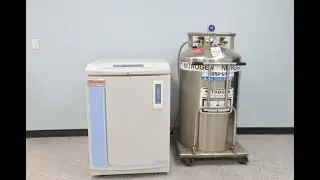 Thermo Cryoplus 2 Cryo Storage System ID 23564