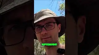 Cercare l'Oro in Australia💎Costo e impegno richiesti!