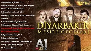 Diyarbakır Mesire Geceleri - Arpa Orağa Geldi / Dağda Harman Olur mu? / Odasına Vardım