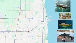 Fishing in Kenosha (The local perspective)