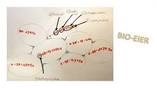 Bioeier