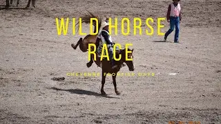 Cowboys are a different BREED.  Wild Horse Race Cheyenne Frontier Days 2022