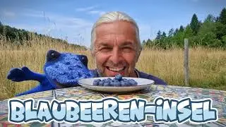DIVIDIEREN LERNEN mit der BLAUDROSSEL DROSSELDA der INSELWELT von MATHLANTIS