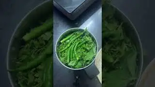 Mint Paste | पुदीना चटणी | Spicy Pudina Chutney Recipe in marathi | Mint Dip for Snacks & Chaat