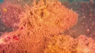 Prueba de submarino Chasing M2 FONDO DEL PUERTO