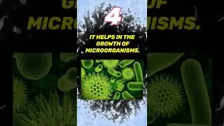 Advantages of Manure | #agriculture #science #shorts #subscribe