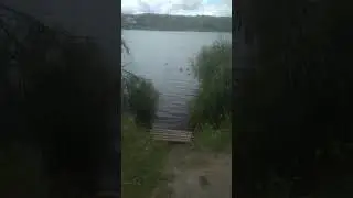 просто природа