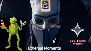 Digital Ethereal Moments! #gaming #destiny2memes #kermitmemes #memes #funnymoments #destiny2