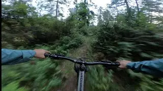 Takin Trail - Turned out to be literally a shitty ride(cow dung)