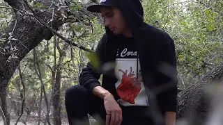 Aurora Lights - 