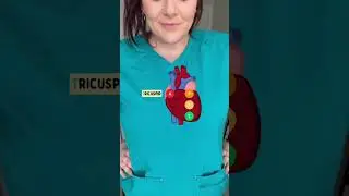 HEART AUSCULTATION SITES MADE EASY!!! 🫀🫀🫀 #fyp #nurse