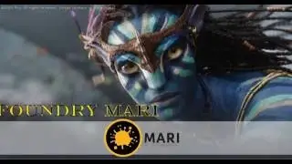 The Foundry Mari