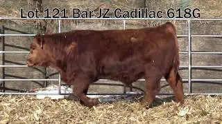 121. Bar JZ Cadillac 618G